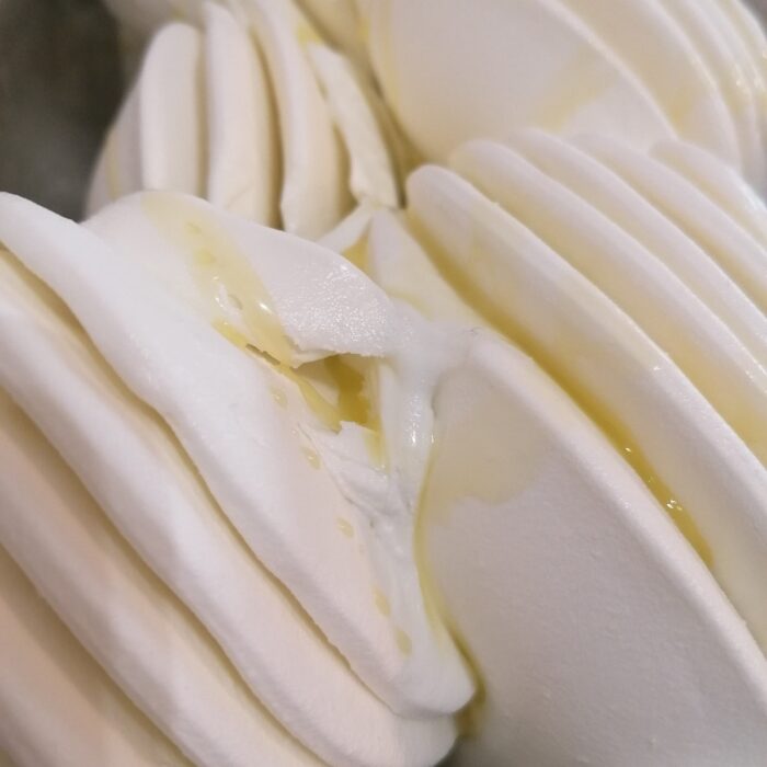 376576931_1037688310914442_7145330624714073878_n